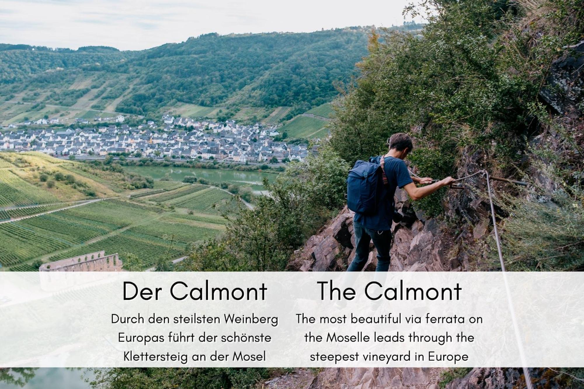 Winzerhaus Am Calmont - Charme & Moselblick Lägenhet Bremm Exteriör bild